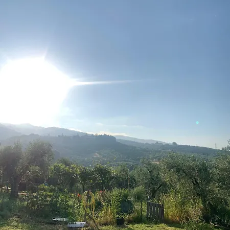 Κάμπινγκ Perilla *
